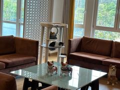 -深圳东部华侨城茵特拉根酒店