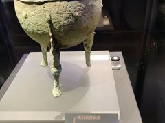 -温州博物馆