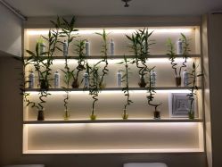 -菲·木田moontin造型salon