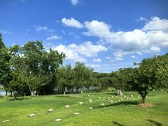 -盘龙城国家考古遗址公园