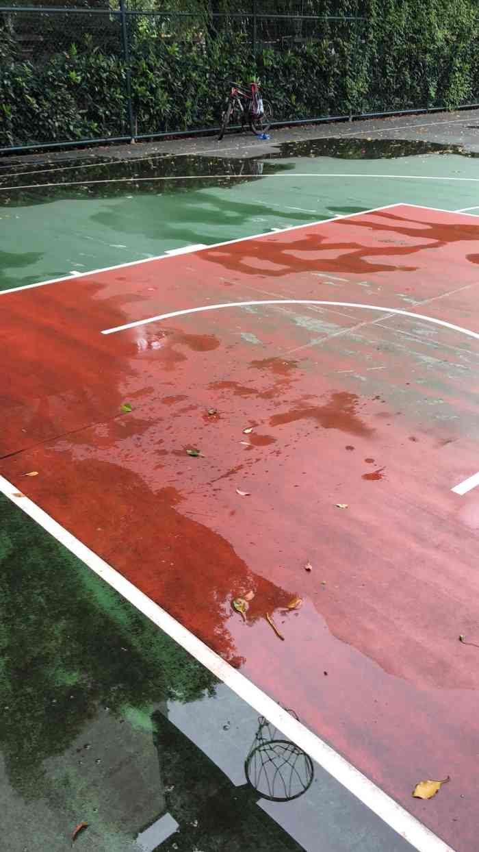 古美体育公园-"这家是沿虹梅路中环利用绿化带因地制宜兴建.