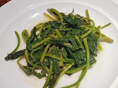 -新渝城·川菜·火锅(区庄店)