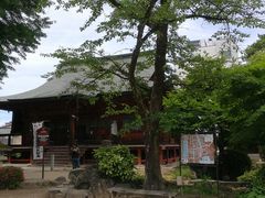 -医王山·飞騨国分寺