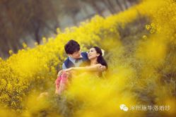 -施华洛婚纱摄影会所(范阳中路店)