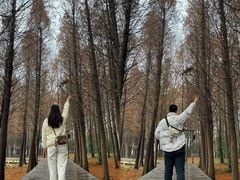 -溱湖国家湿地公园