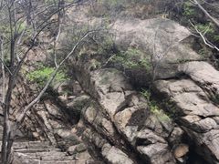 -大岭沟猕猴桃谷风景区