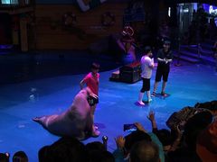 -烟台海昌鲸鲨海洋公园