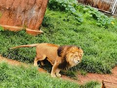 -昆明动物园