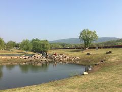 -钟山体育运动公园
