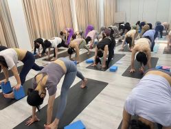 -亚太瑜伽普拉提学院