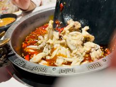 -销魂美蛙鱼头火锅(上海首店)