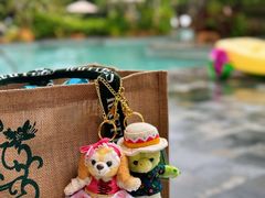 -海南清水湾莱佛士酒店