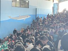 -苏州海洋馆