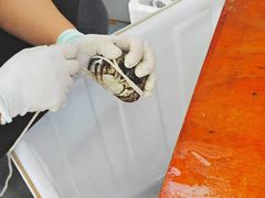 -阳澄湖大闸蟹·琼灵阁牌品牌连锁(吴中总店)