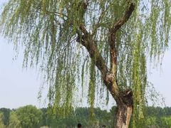 -东郊湿地公园