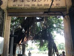 -小洲村