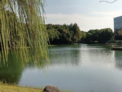 -尚贤河湿地