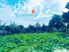 -洪湖家庭农场·团建·露营·会议