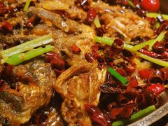 -老板恋上鱼(荣盛广场店)