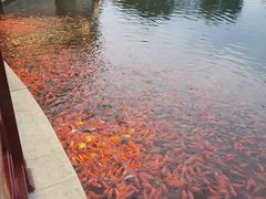 -西海子公园
