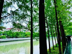 -苏州河梦清园环保主题公园