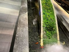 -湊湊火锅·茶憩(石家庄万象城店)