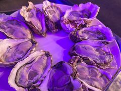 -千岛蚝高压锅生蚝·人参火锅(白云万达店)