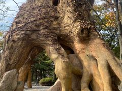 -燕窝岭