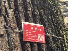 -北京上方山国家森林公园