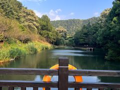 -桃花岭景区