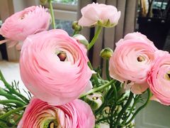 -森野花艺培训·企业团建活动沙龙