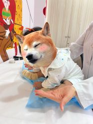 -睿宝儿科·眼科·口腔(静安大悦城门诊部)