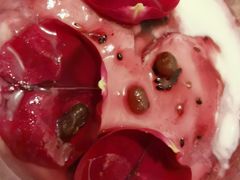 -丁丁&当当牦牛酸奶·酥油面包(官门口店)