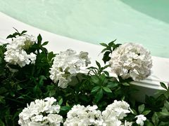 -深圳湾万象城(南山店)