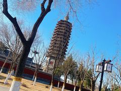 -西海子公园