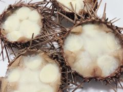 -海胆小馆(东北水饺·春柳店)