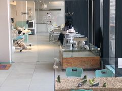 -怪兽屋·羊驼·猫咖·狗咖(俊华广场店)