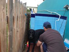 -趣玩宠物乐园寄养训犬训狗游泳池