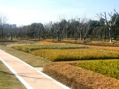 -上海山野camping·户外天幕烧烤·团建拓展营地