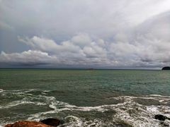 -广东惠东海龟国家级自然保护区