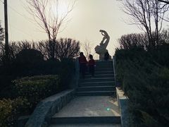 -云岗森林公园