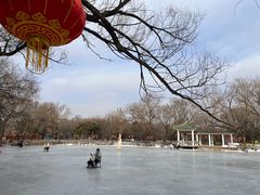 -北陵公园