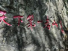-王顺山国家森林公园