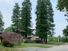 -同里国家湿地公园