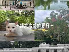 -顺峰山公园