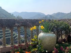 -心无尘茶餐馆(径山村店)