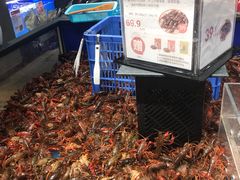-盒马鲜生(皇庭广场店)
