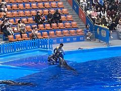 -海合安成都极地海洋公园