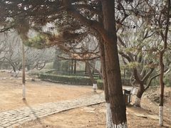 -前关湿地公园