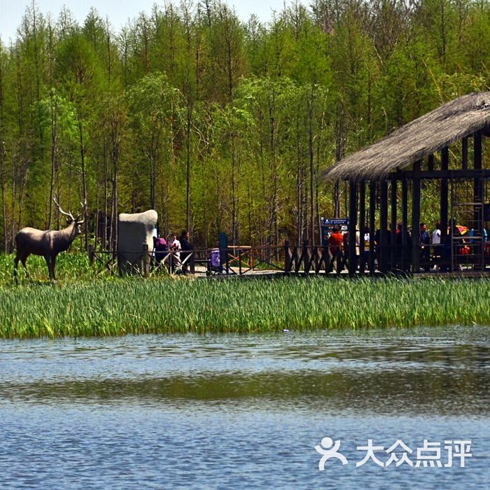 溱湖國家溼地公園